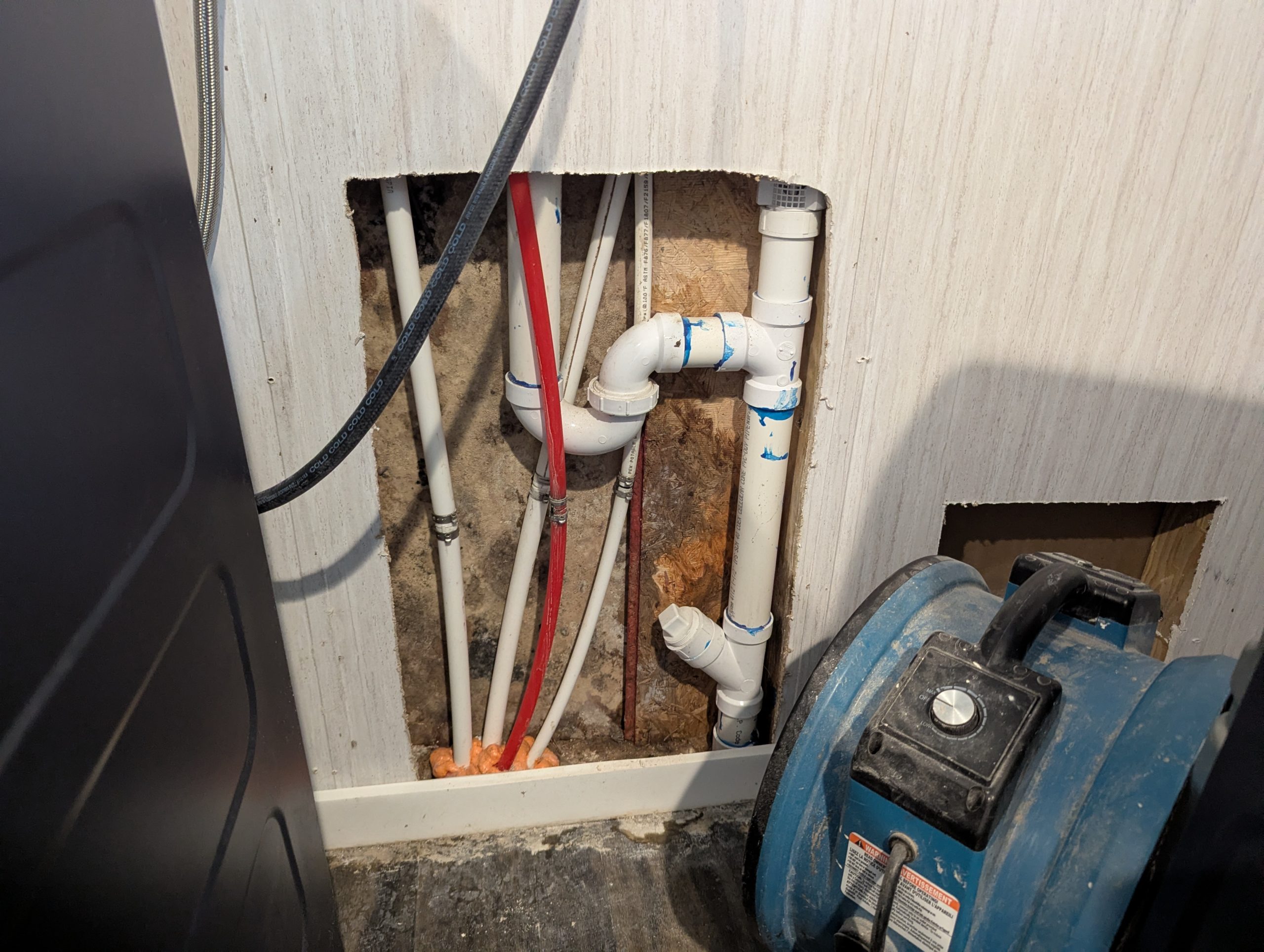 Area of a wall that is opened up with visible mold growth from a water leak in a laundry room. What to do if you have mold in your home. Live Oak Florida home Greenwood Building Inspection Mold Assessment team reviewed.