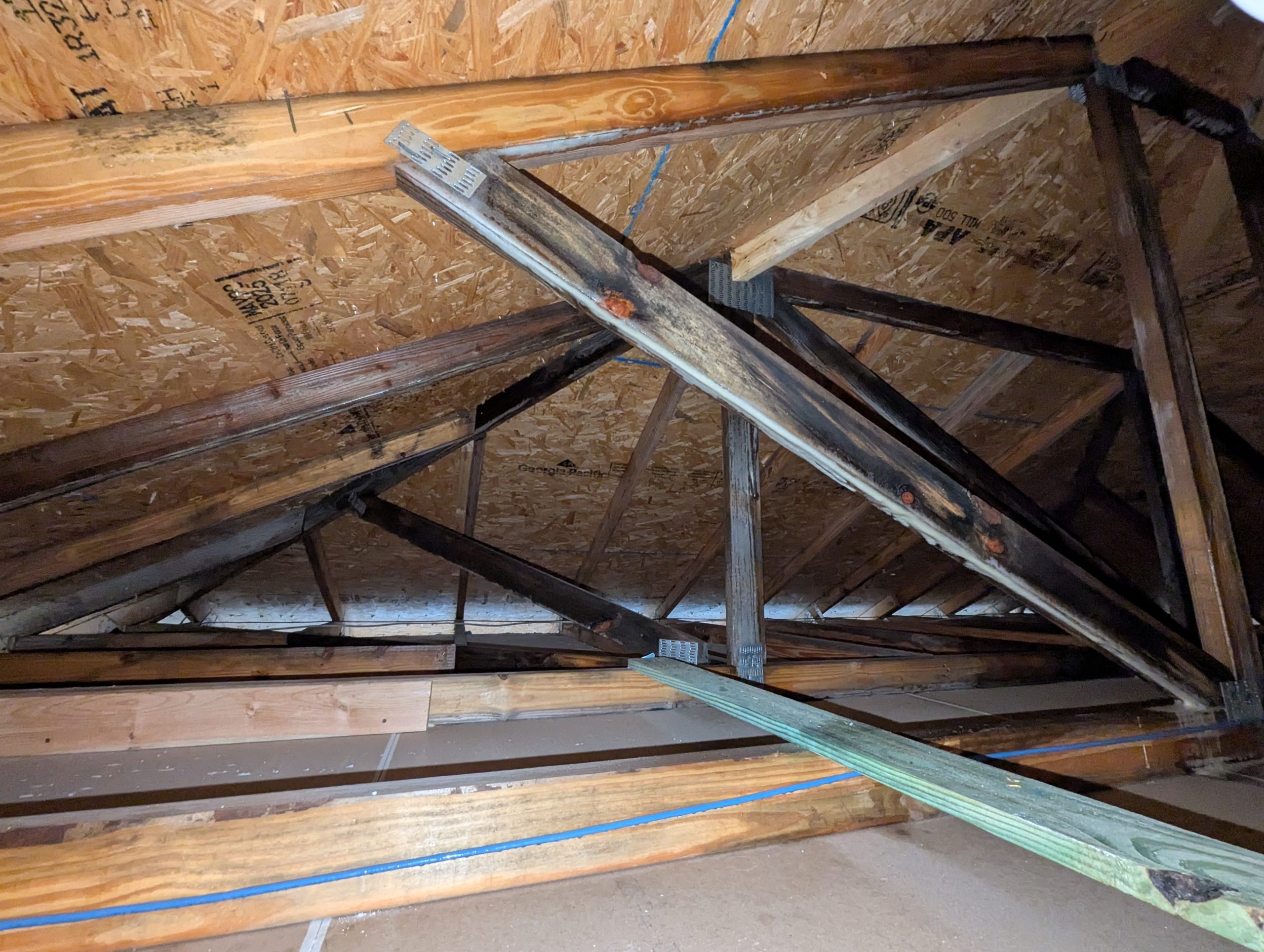 professional mold inspection of the interior of an attic space of a home in Ocala Florida were visible mold growth was found and remediated.