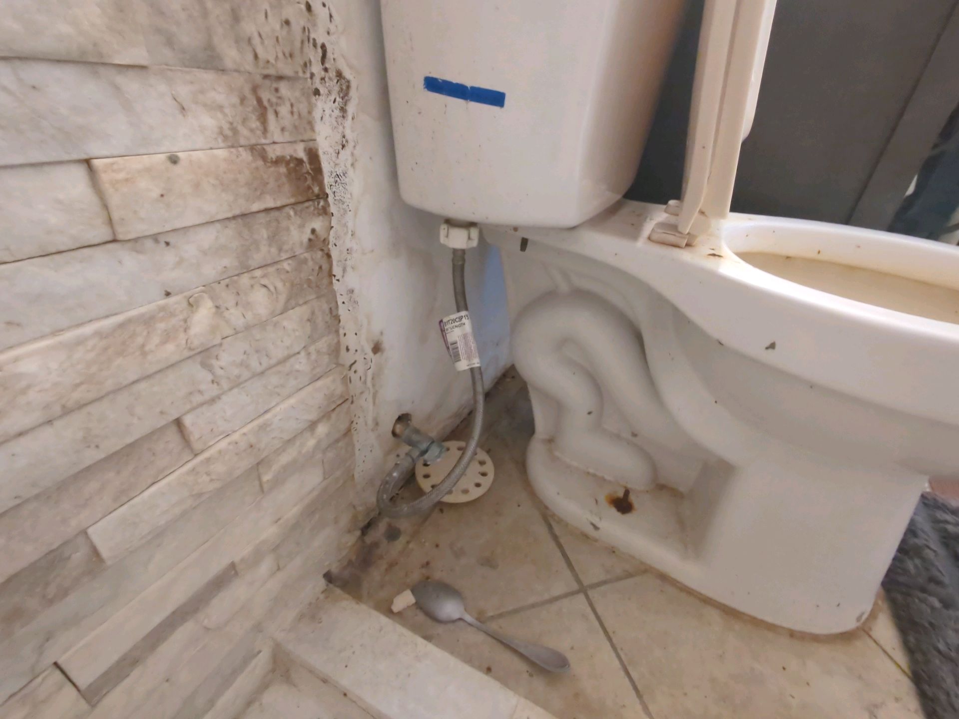 Mold remediation project for visible mold growth in a bathroom in Gainesville Florida by Greenwood Building Inspection & Consulting