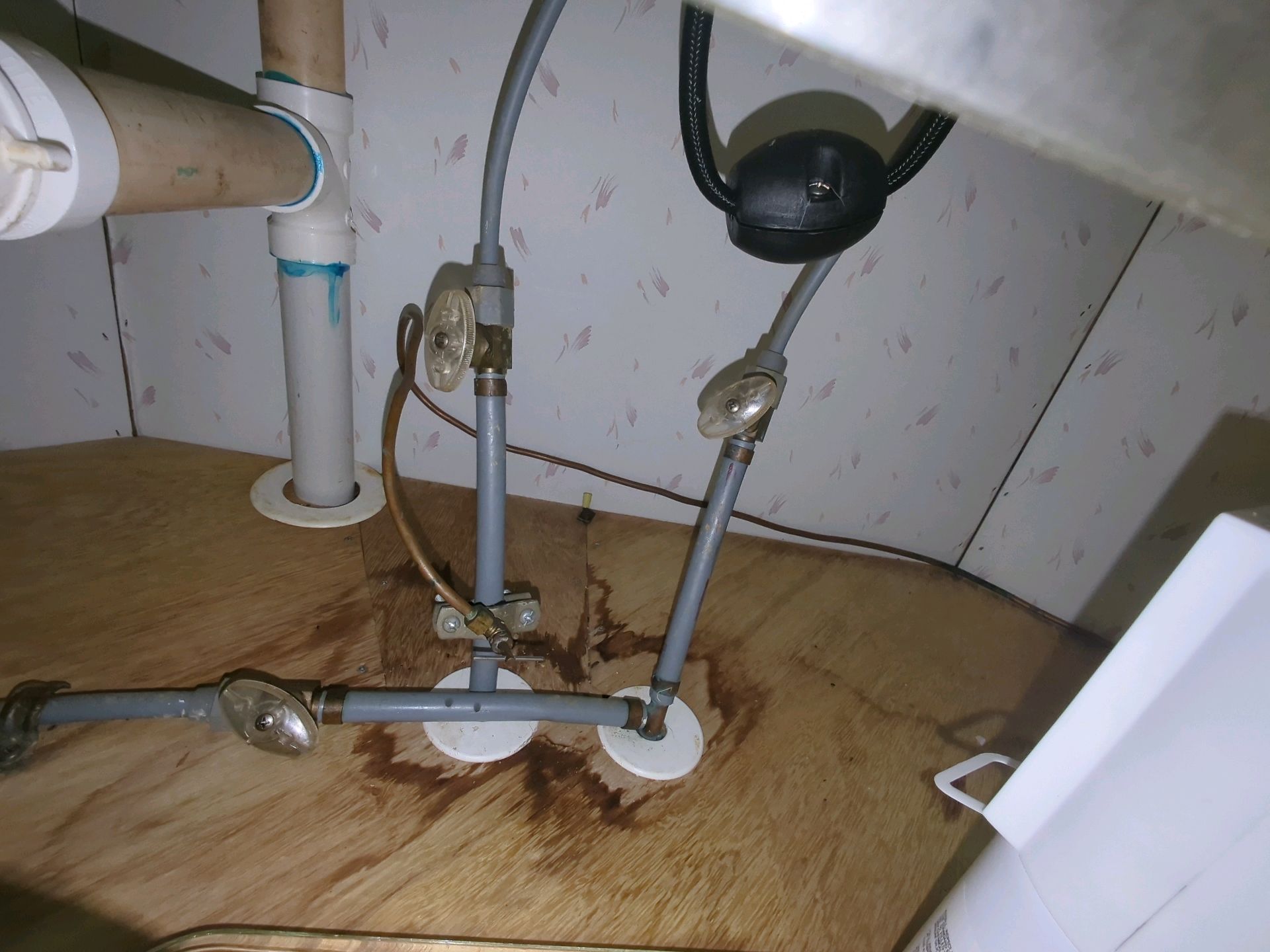 Water damage under a kitchen sink with polybutylene plumbing. This is a mobile home in Gainesville Florida that had mold growth as a result of past plumbing leaks under the kitchen sink.